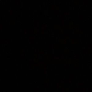 Meet your Posher, Bryanni